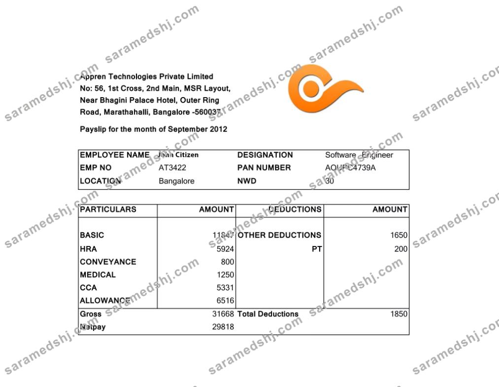 INDIA APPREN Technologies Private Limited payslip in Word and PDF formats
